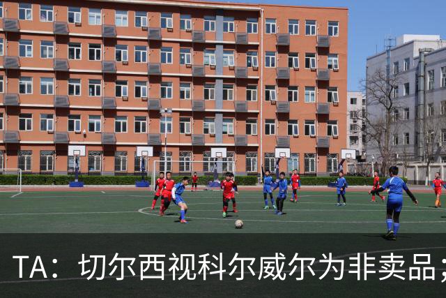 TA：切尔西视科尔威尔为非卖品；马马杜-萨尔内部评价很高